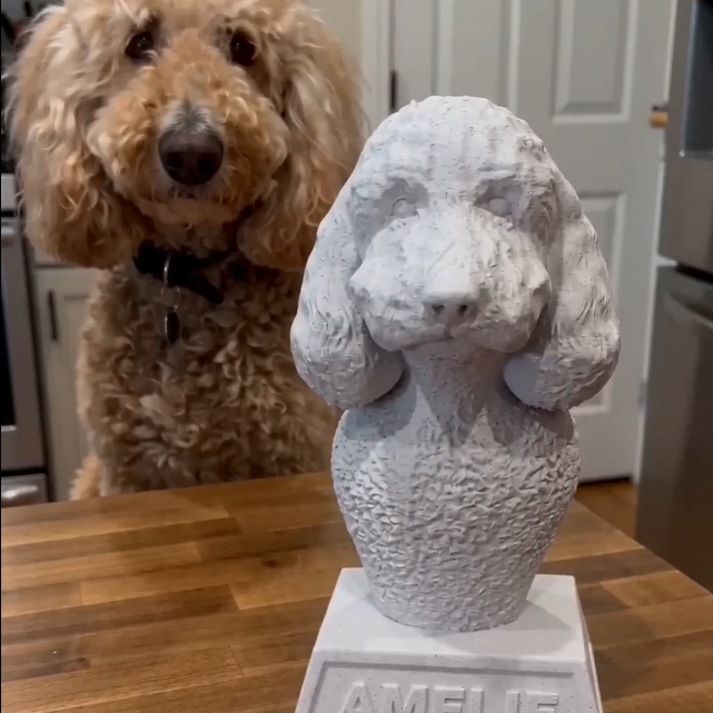Custom Pet Bust Sculptures