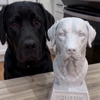 Custom Pet Bust Sculptures