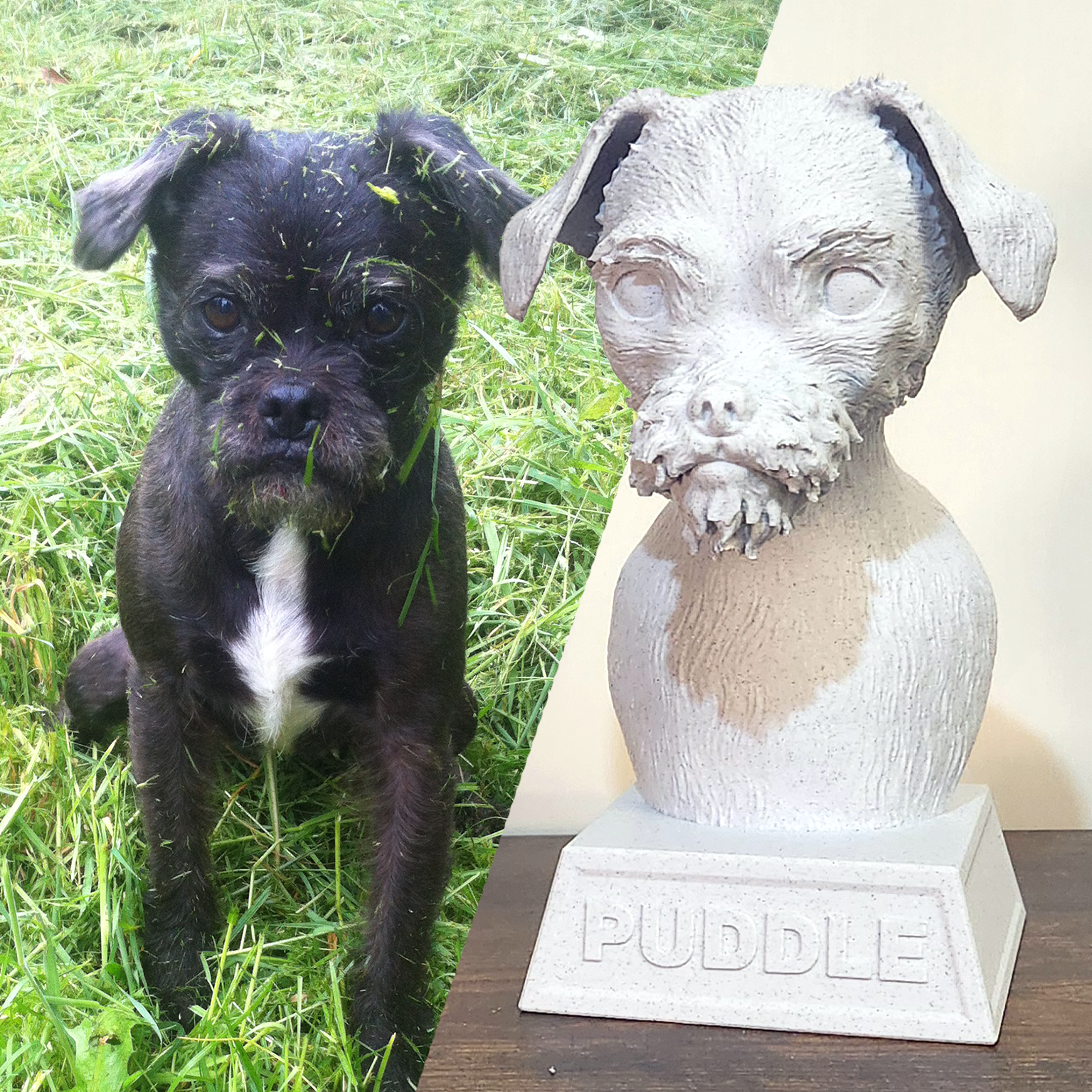 Custom Pet Bust Sculptures